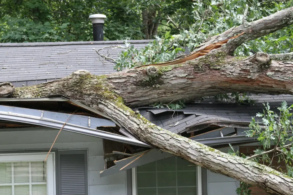 Roofing